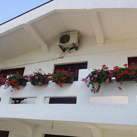 Apartman Tripkovic Бар Екстер'єр фото